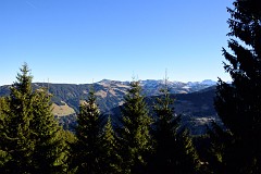 358DSC_3420