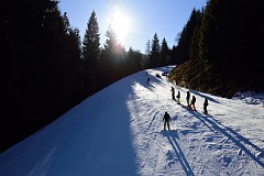 362DSC_3433