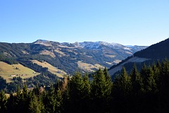 364DSC_3445