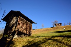 388DSC_3478
