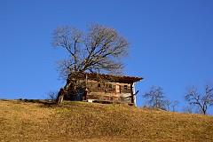 390DSC_3480