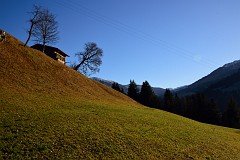 391DSC_3481