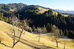 394DSC_3484