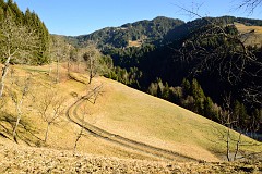 395DSC_3485