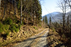 400DSC_3491