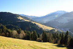 403DSC_3495