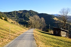 406DSC_3498