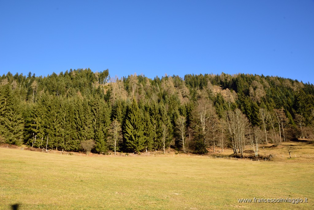 100DSC_3047.JPG