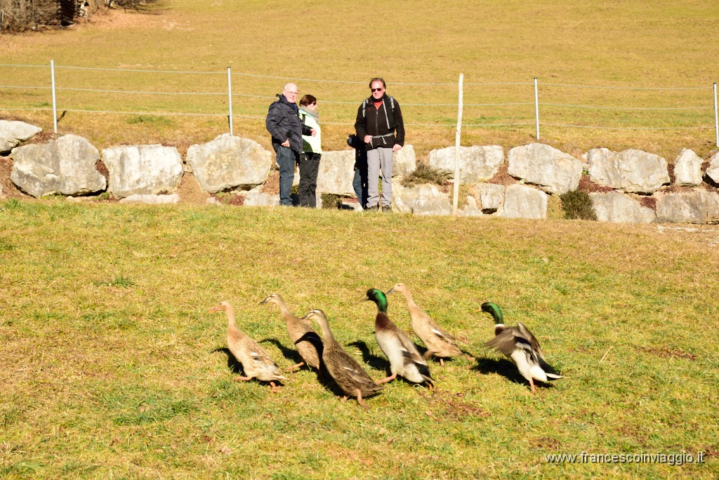 109DSC_3059.JPG