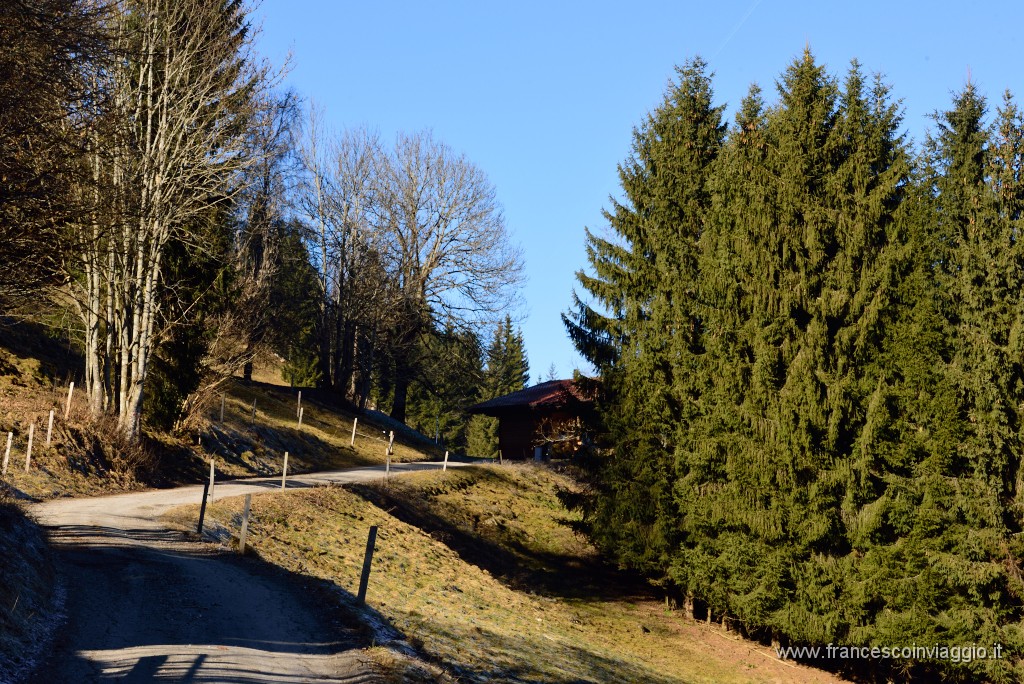 48DSC_2963.JPG