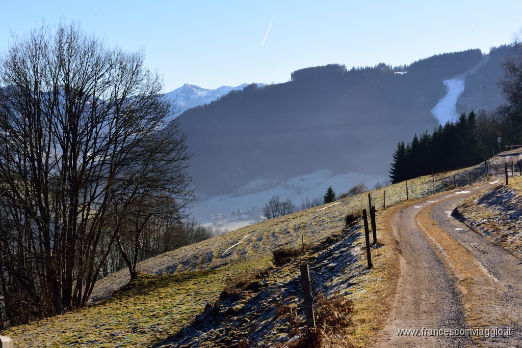 50DSC_2965.JPG