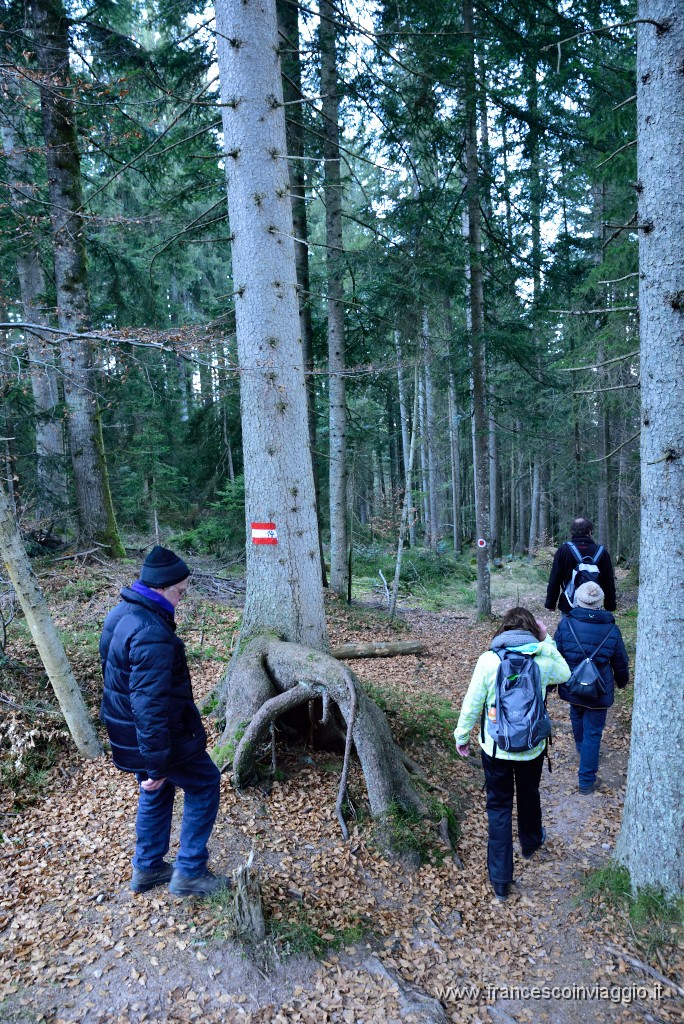 59DSC_2977.JPG