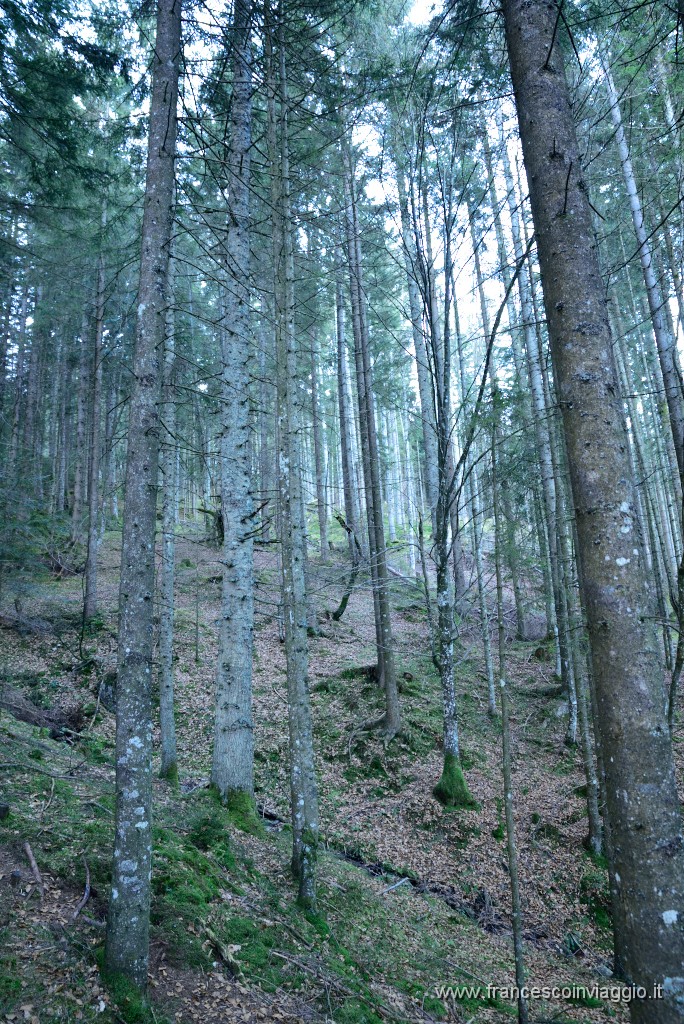 63DSC_2982.JPG