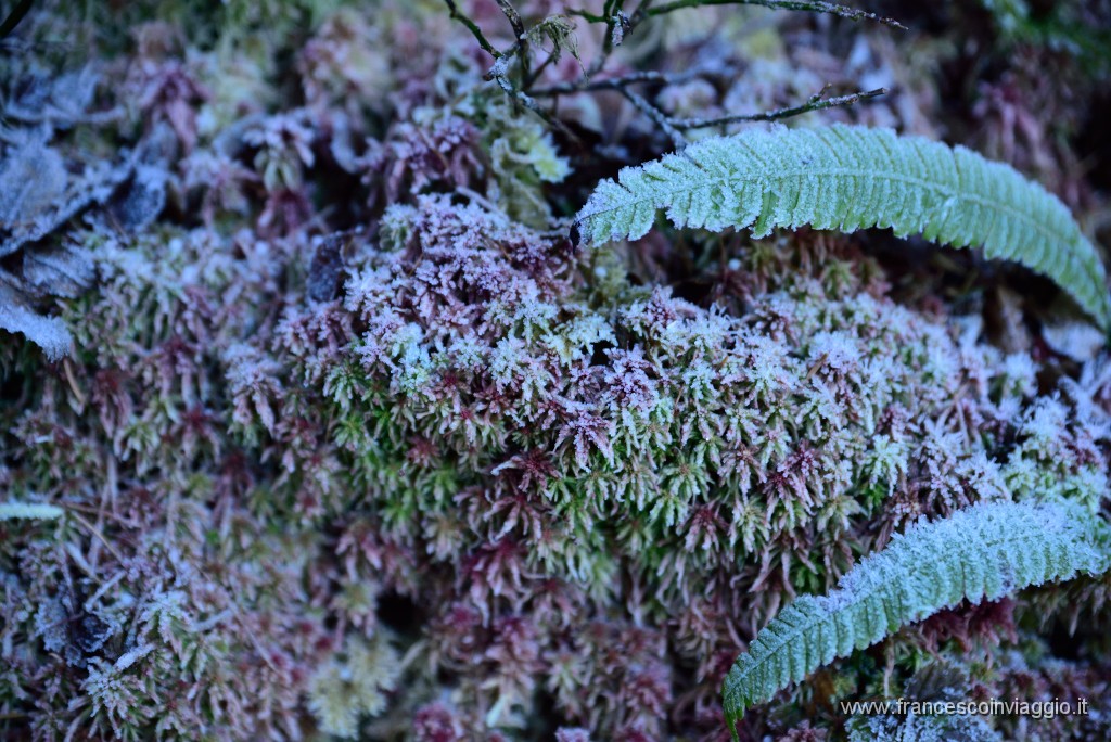 66DSC_2985.JPG