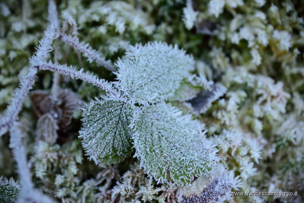 72DSC_3001.JPG