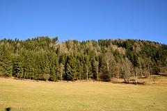 100DSC_3047