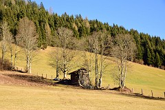 104DSC_3052