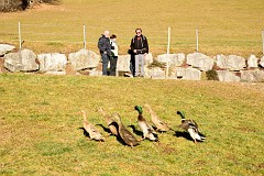 109DSC_3059
