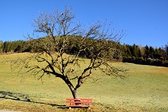 15DSC_2917