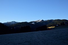 1DSC_2895