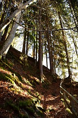 25DSC_2931