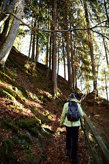 26DSC_2935