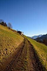 28DSC_2938