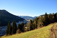 29DSC_2940