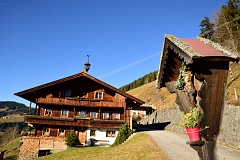 36DSC_2949