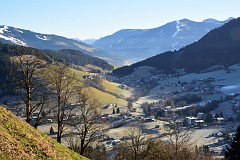 37DSC_2950