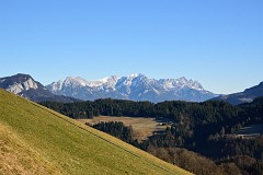 38DSC_2951