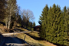 48DSC_2963