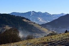 49DSC_2964
