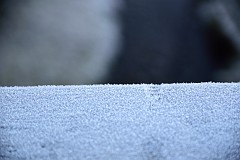 4DSC_2899