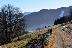 50DSC_2965
