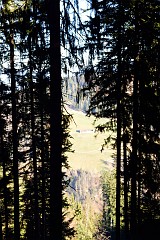 54DSC_2969
