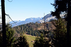 55DSC_2970