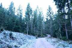 57DSC_2973
