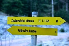 58DSC_2975