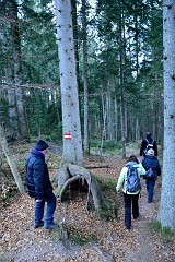 59DSC_2977