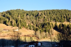 5DSC_2900