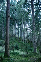 60DSC_2978