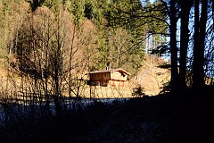 61DSC_2979