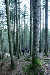 62DSC_2981