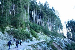 70DSC_2999