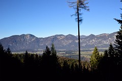 76DSC_3006