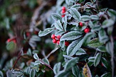 7DSC_2904