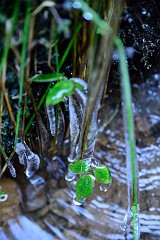 80DSC_3019