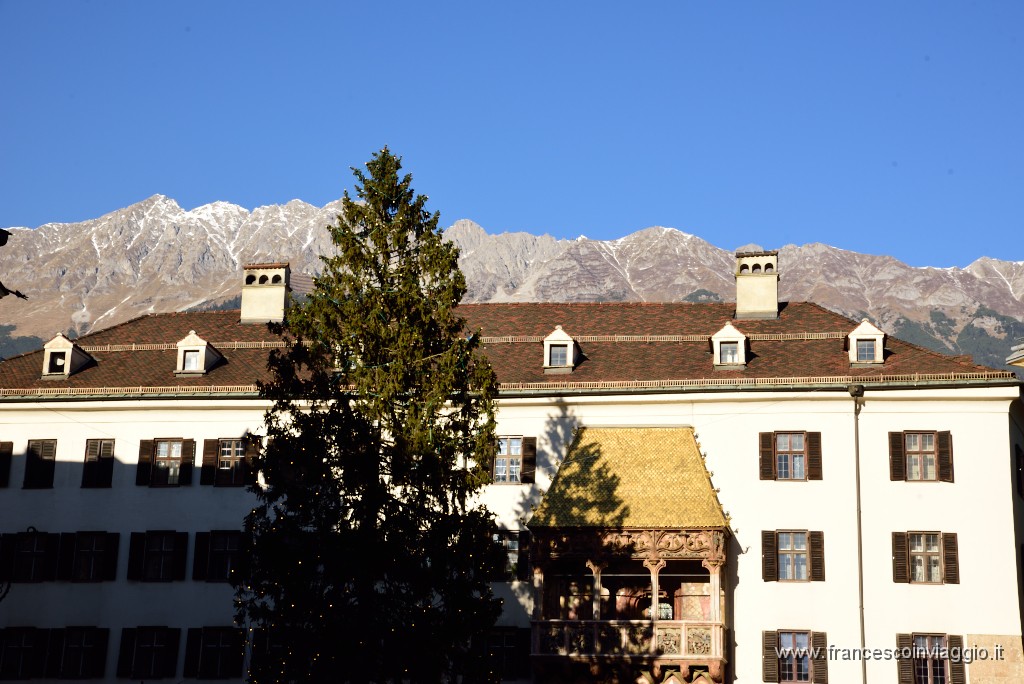 487DSC_3589.JPG