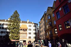 458DSC_3559